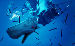 Hunt The High Seas As A Hyper Evolved Super Shark In Maneater 5k
