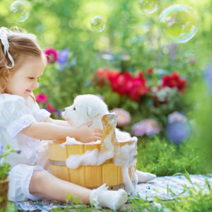 Cute Little Girl Is Playing With Puppy Wearing White Dress In Green Bubbles Background HD Cute Wallpapers