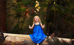 Little Cute Girl Is Sitting On Tree Trunk Wearing Blue Dress Looking Up HD Cute Wallpapers