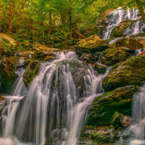 Waterfalls In the Forest HD Nature