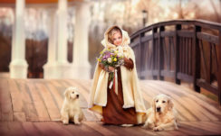 Ash Eyes Smiley Cute Little Girl With Bouquet Is Standing Between Labrador And Puppy Wearing Brown Sandal Color Dress HD Cute