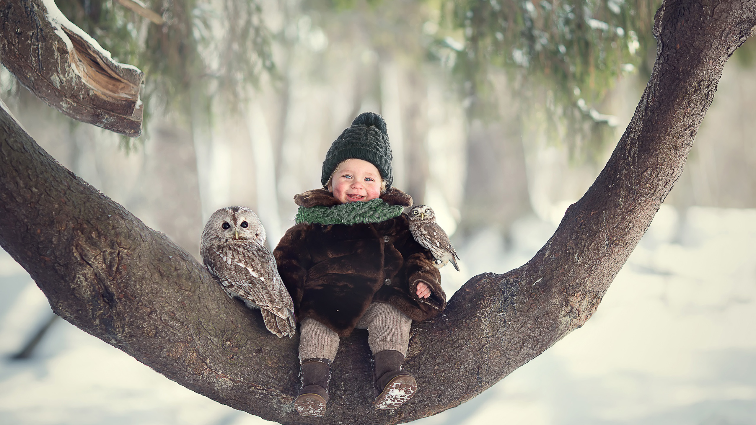 Cute Baby Boy Is Sitting On Tree Trunk With Owl Wearing Woolen Muffler And Cap And Brown Soft Jerkin HD Cute