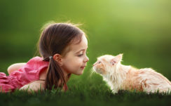 Cute Little Girl Is Playing With Cat On Green Grass Wearing Red Dress In Green Background HD Cute