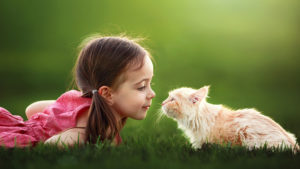 Cute Little Girl Is Playing With Cat On Green Grass Wearing Red Dress In Green Background HD Cute