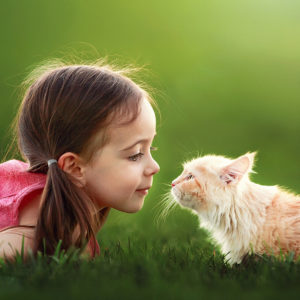 Cute Little Girl Is Playing With Cat On Green Grass Wearing Red Dress In Green Background HD Cute Wallpapers