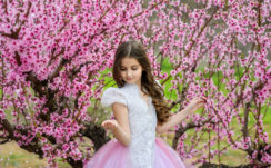 Cute Little Girl Is Standing Between Cherry Blossom Pink Flower Trees Wearing Pink White Dress 4K HD Cute