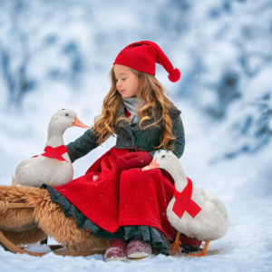 Cute Little Girl Is Wearing Santa Claus Dress And Cap Sitting With Goose In Snow Background HD Cute Wallpapers