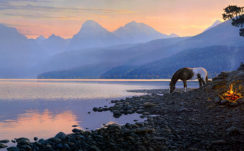 Horse On Pebbles Near Lake During Sunset HD Animals Wallpapers