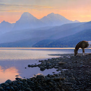 Horse On Pebbles Near Lake During Sunset HD Animals Wallpapers