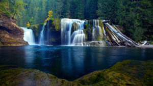 Beautiful Waterfalls On Green Algae Covered Rocks Pouring On River In Green Trees Forest Background