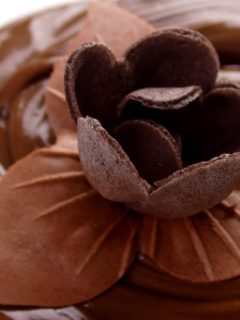 Chocolate flower amazing | HD Wallpapers