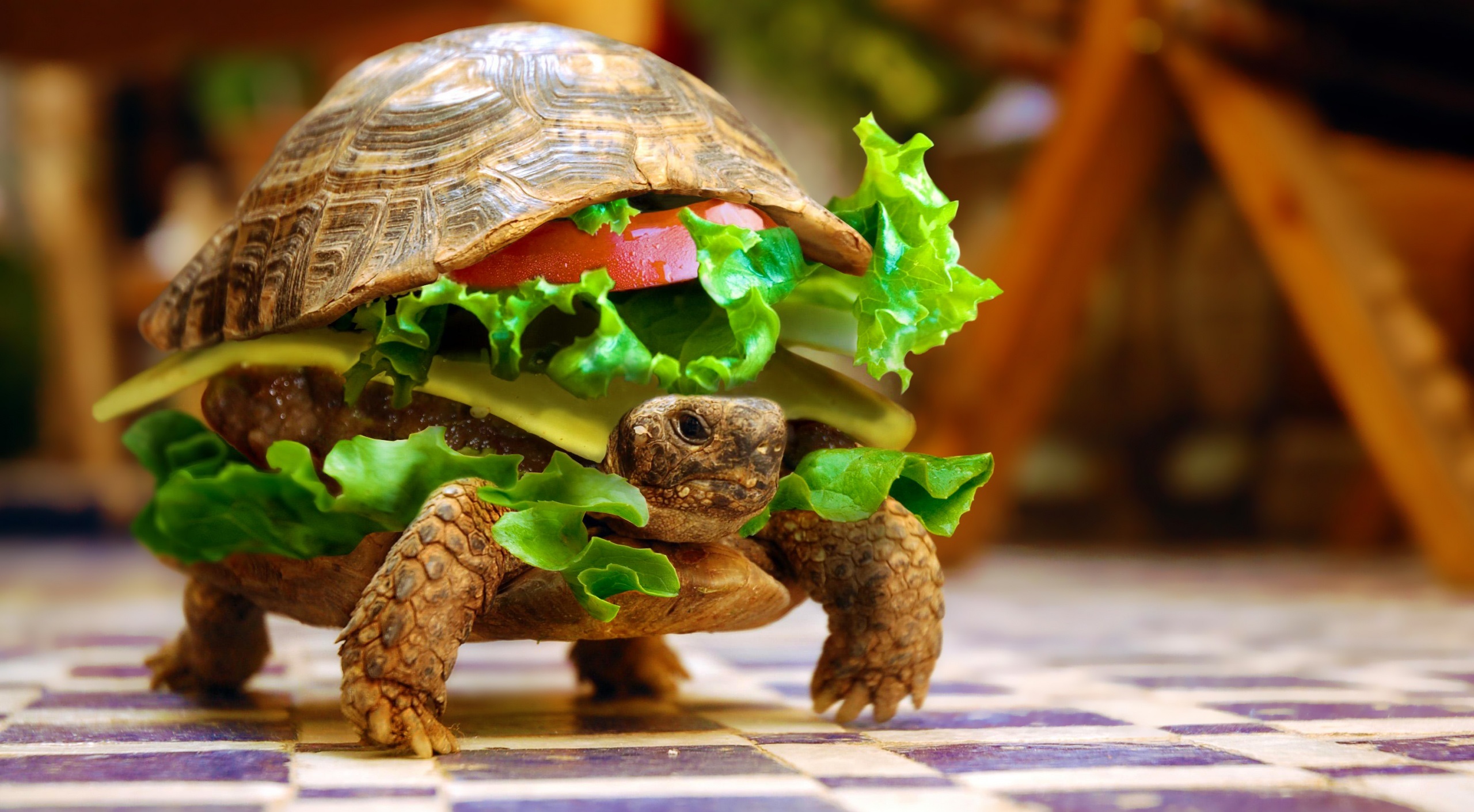 Cheese Turtle Burger By K23 HD wallpaper