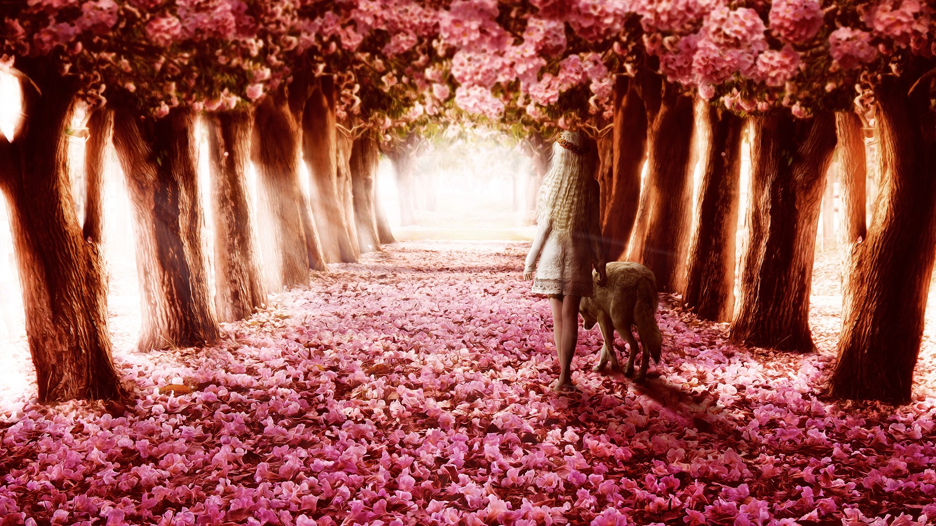 Flower Path Wallpapers