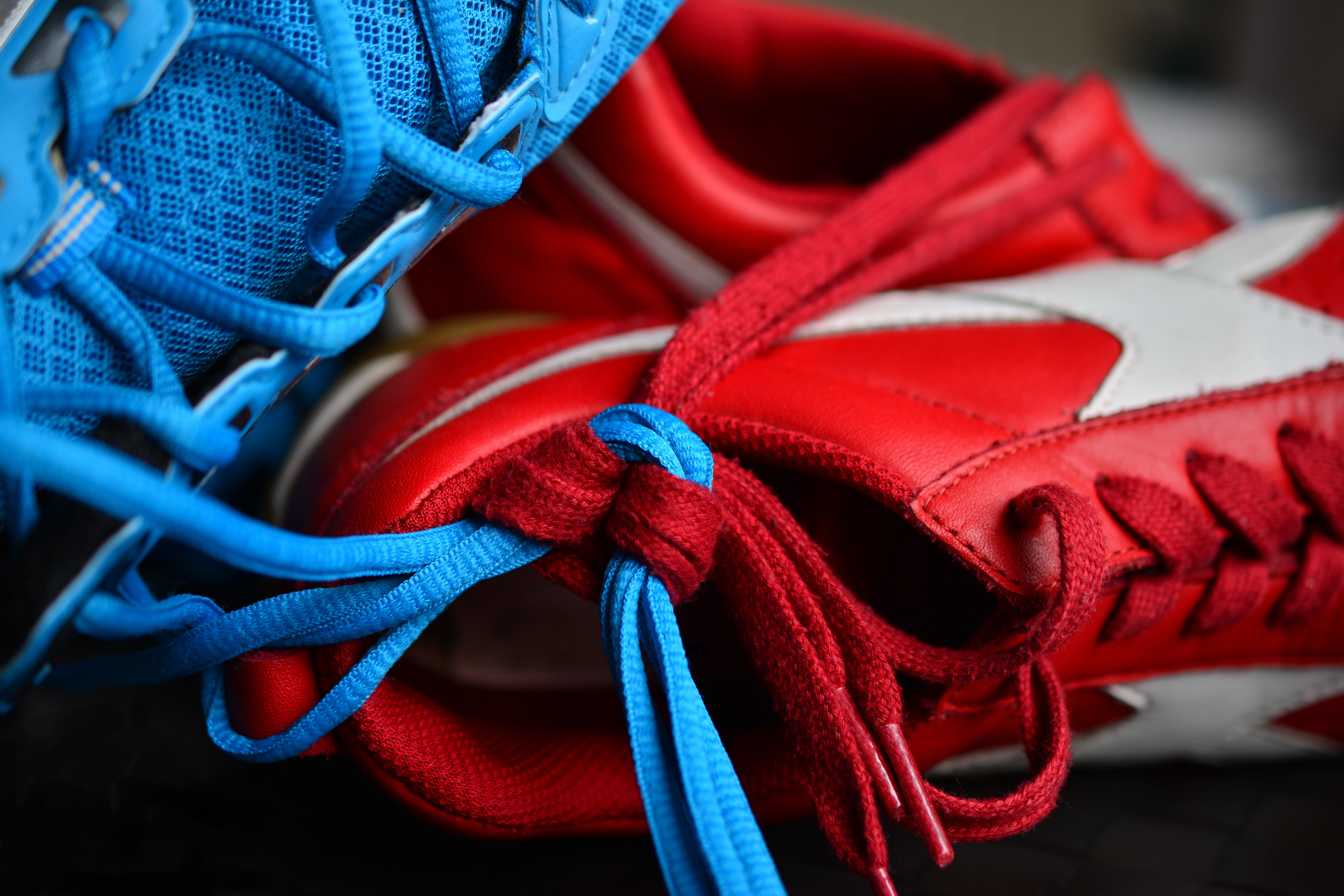 Sneakers Shoelaces Sports