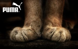Puma Brand Firm Sports Foot