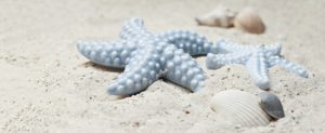 Starfish Mussels Sand Porcelain