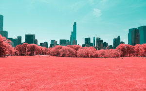 NYC Central Park Infrared 4K
