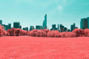NYC Central Park Infrared 4K Wallpapers
