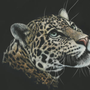 Leopard Artwork Paint 4K Wallpapers