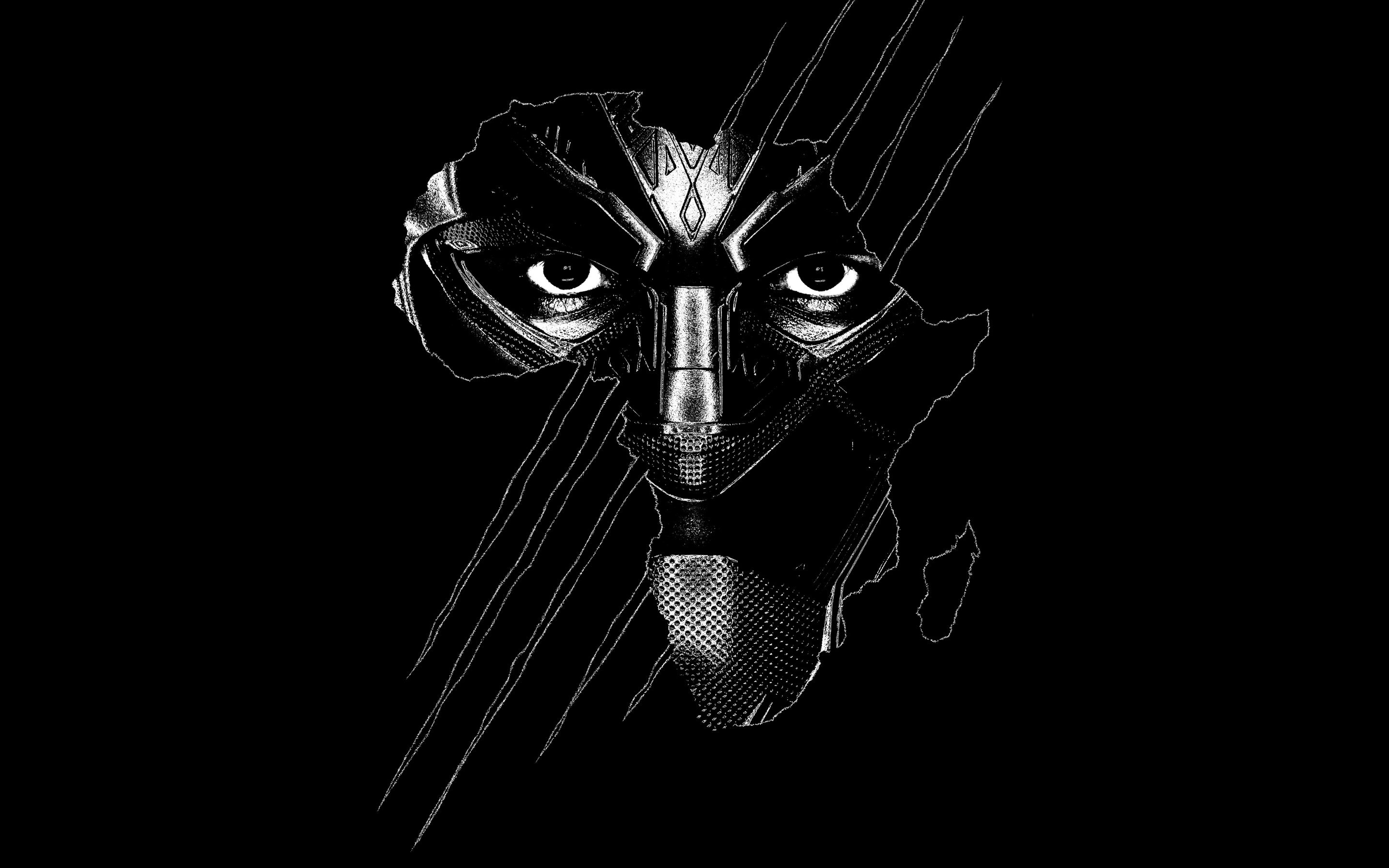 Black Panther 4K Wallpapers