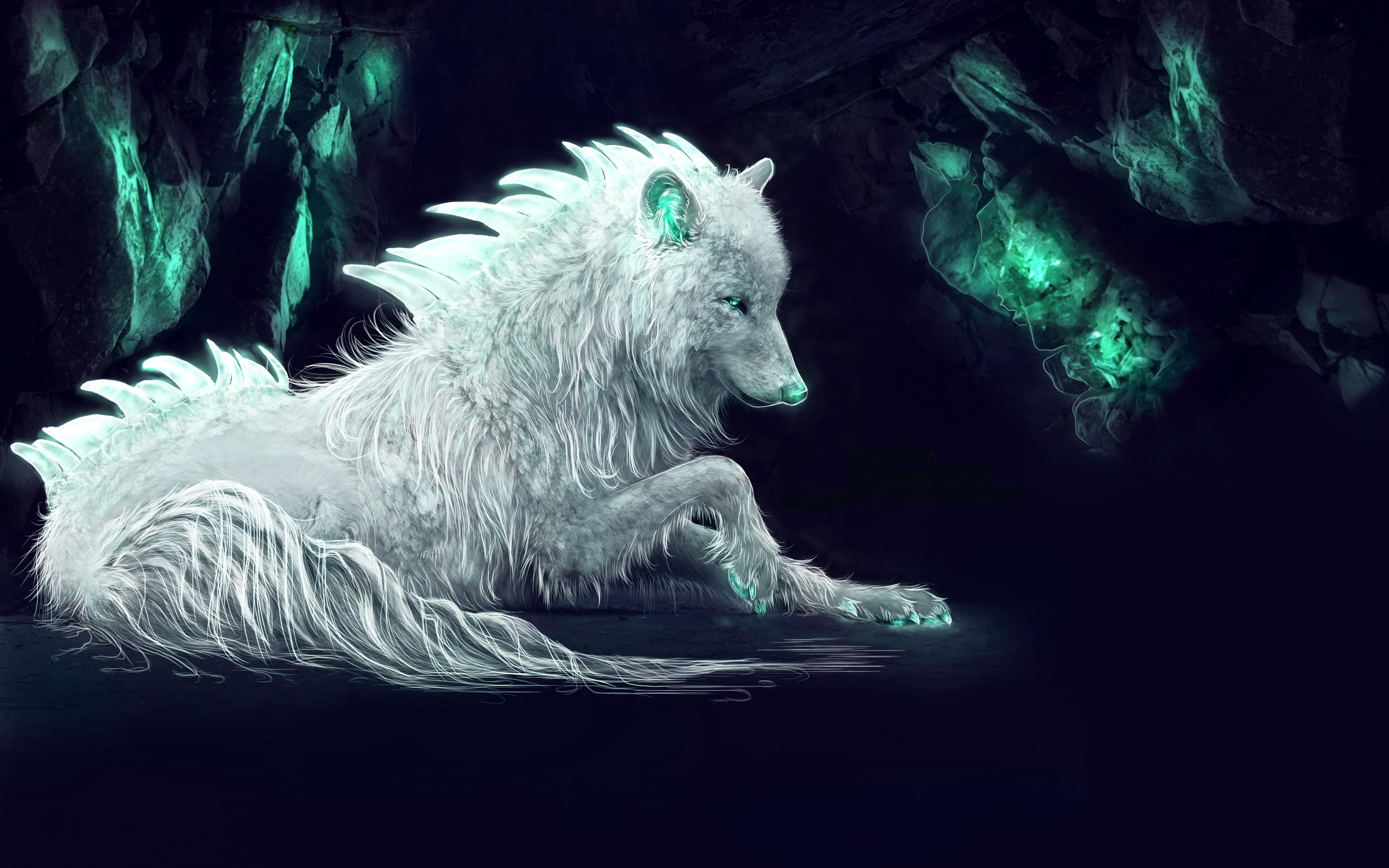 White Arctic Wolf 5K Wallpapers