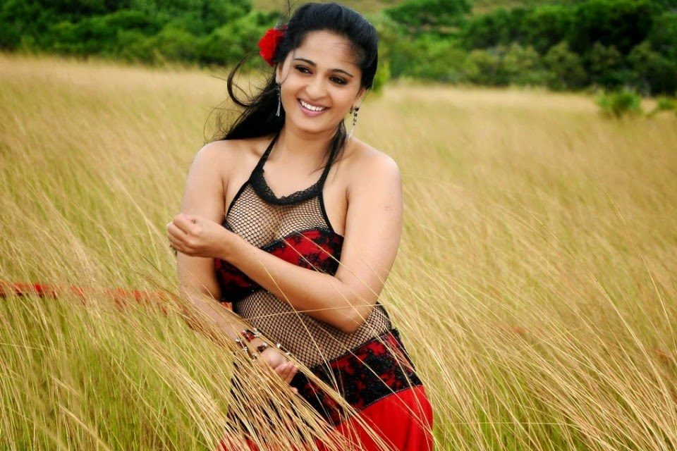 South Indian Actress Anushka Shetty Hd Wallpapers | HD Wallpapers