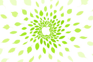 Apple Green Wallpapers