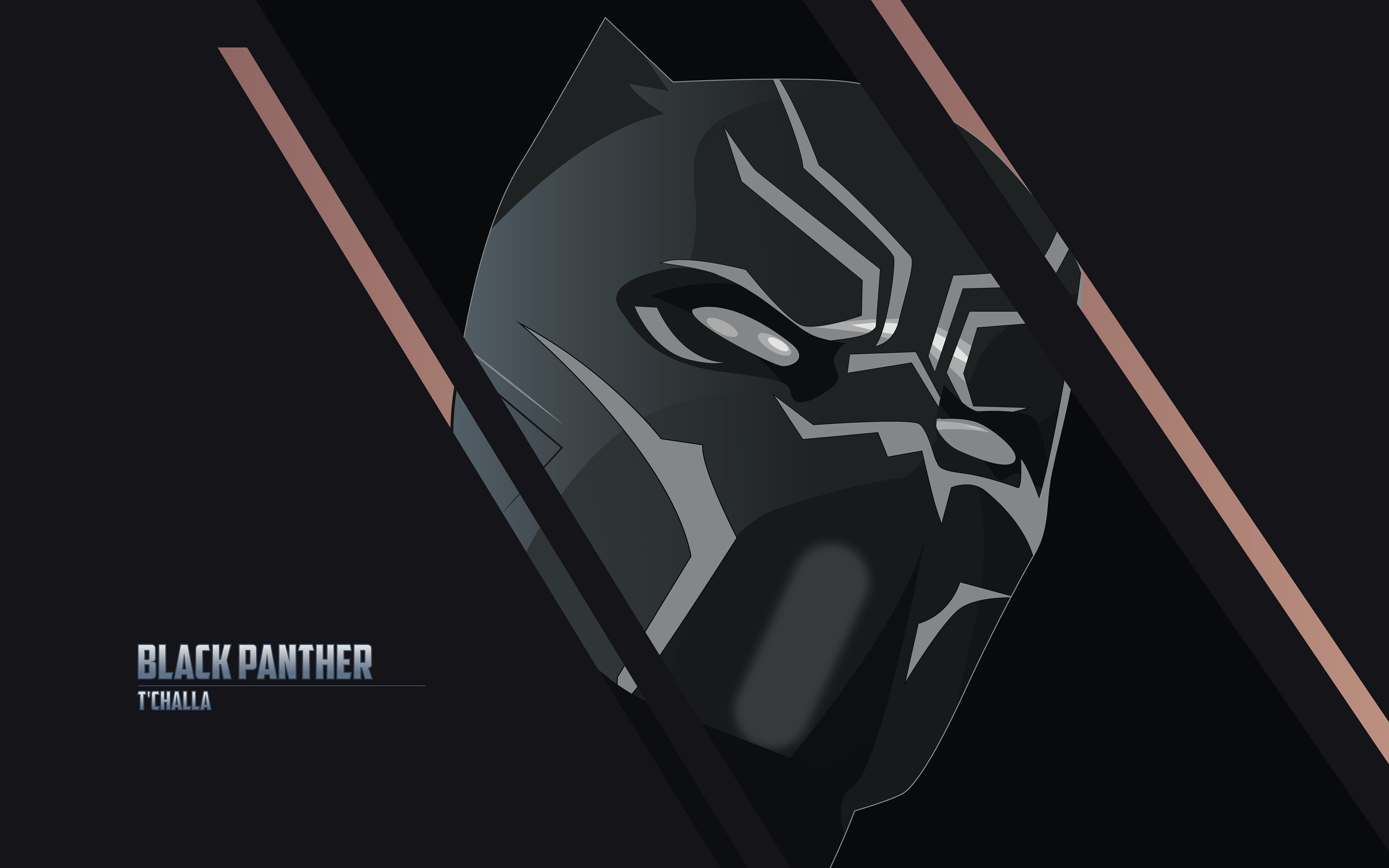 T’Challa The Black Panther 4K