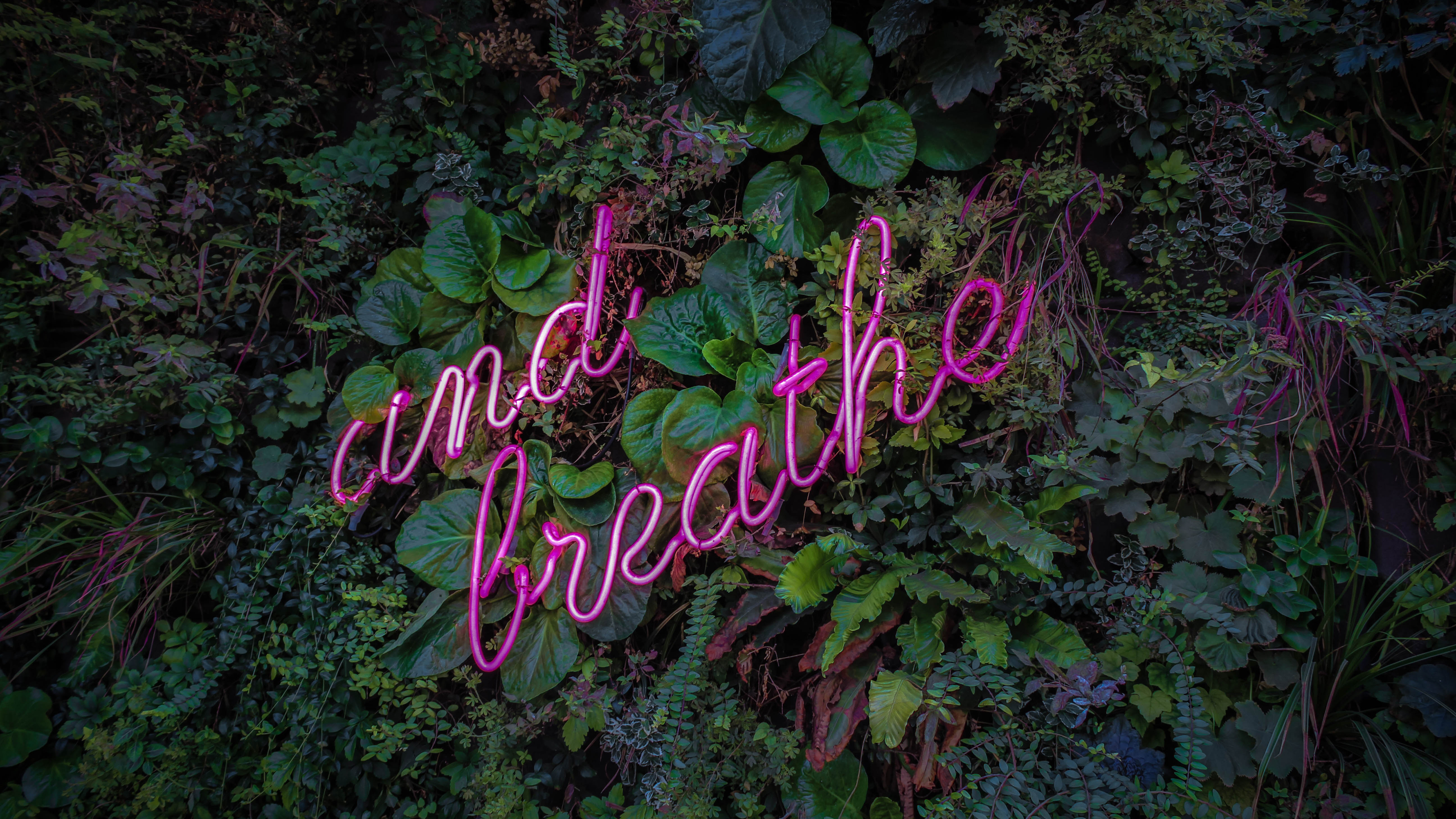 Breathe Neon Sign 5K Wallpapers