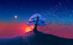Mystic Tree Sunset Wallpapers