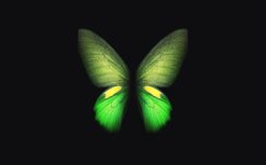 Samsung Galaxy Fold Green Butterfly 4K Wallpapers