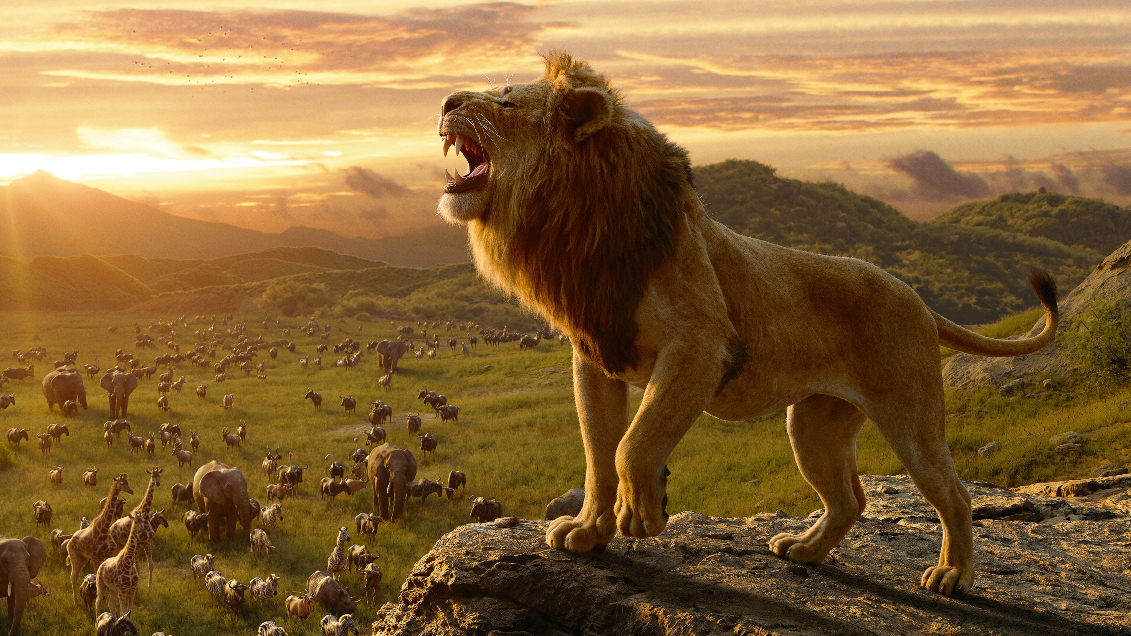 Simba in The Lion King 4K
