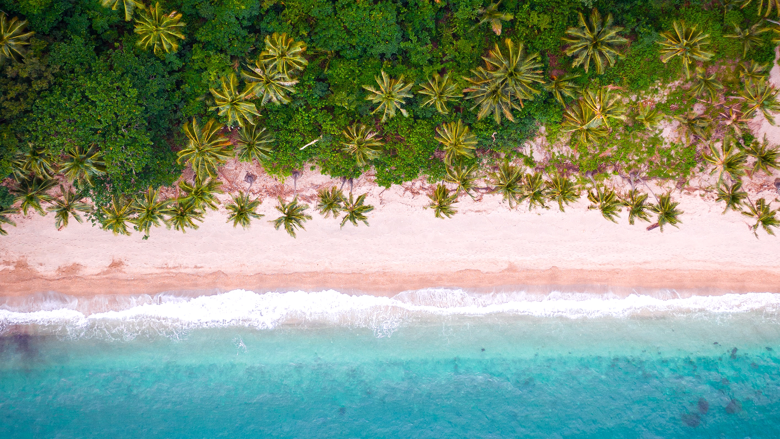 Tropical Beach Aerial View Wallpapers | HD Wallpapers