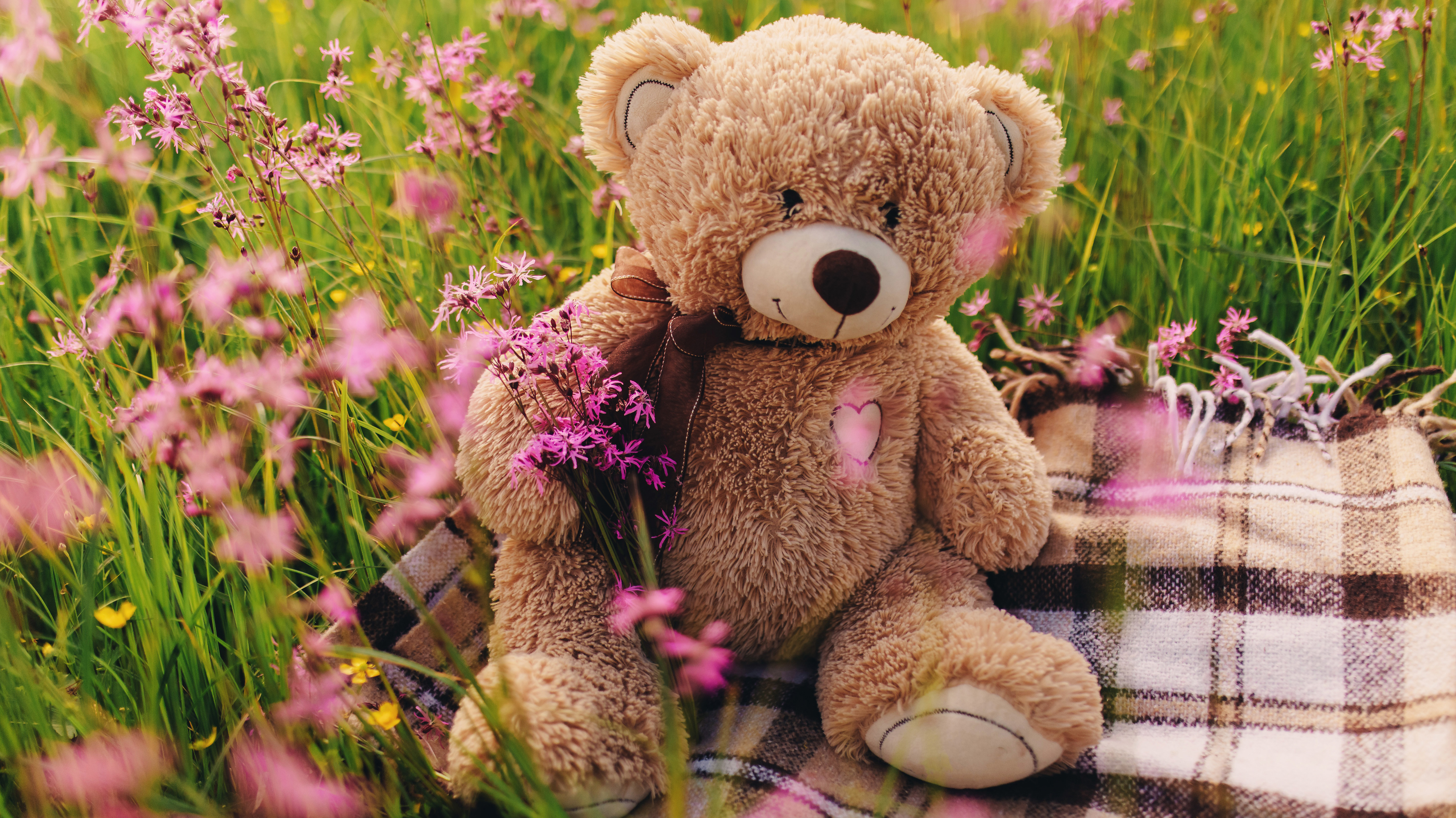 Cute Teddy Bear 5K
