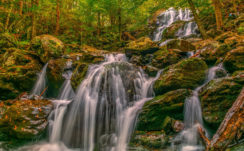 Waterfalls In the Forest HD Nature
